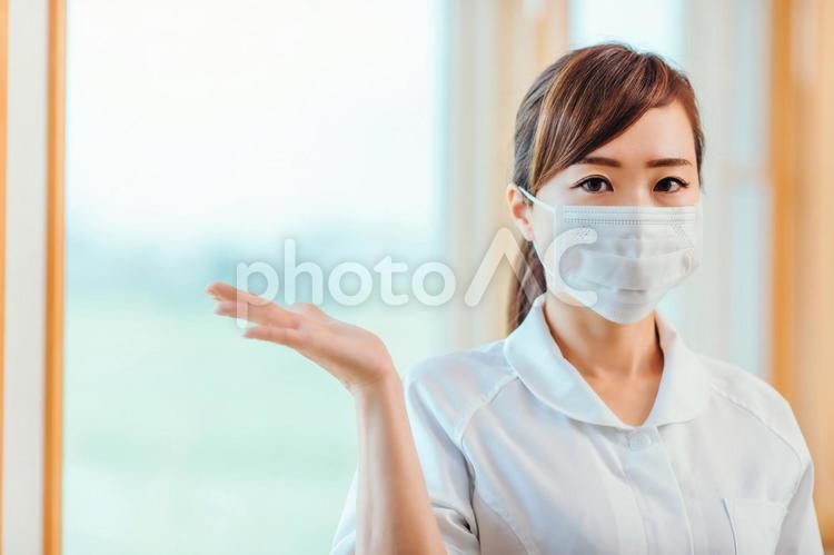 マスクをした看護師 看護師,ナース,看護婦の写真素材