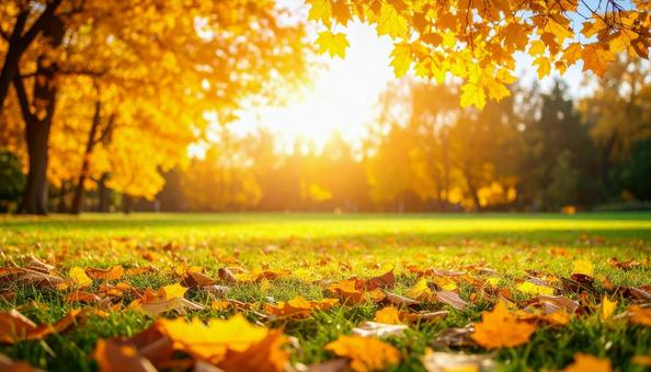 秋のイメージの背景画像 紅葉 野原 公園 秋のイメージの背景画像 紅葉 野原 公園の写真