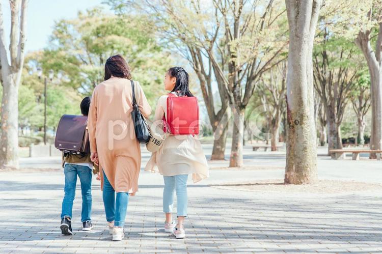 公園を歩く親子（後ろ姿） 親子,子供,送り迎えの写真素材