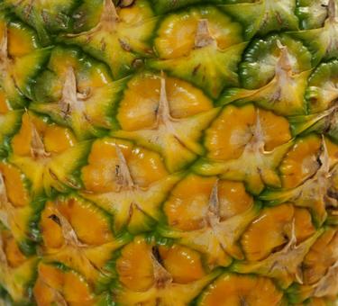 pineapple, JPG
