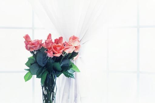 Photo, roses, flower, red, 