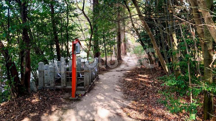 大分県中津市の大貞八幡宮薦神社 薦神社,大分県,八幡宮の写真素材