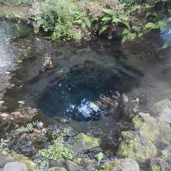 忍野八海 お釜池 忍野八海 お釜池 忍野八海,お釜池,風景の写真素材