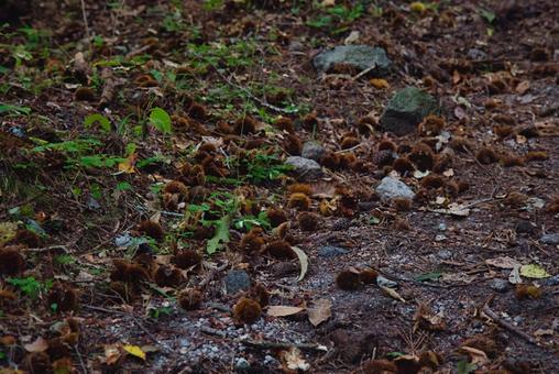 三瓶山の風景 しまね,登山,浸食の写真素材