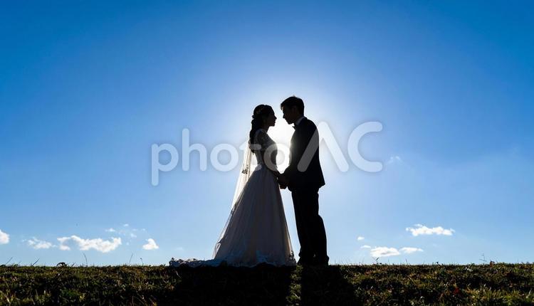 草原の中の花嫁と花婿　ウエディング 花嫁,花婿,結婚式の写真素材