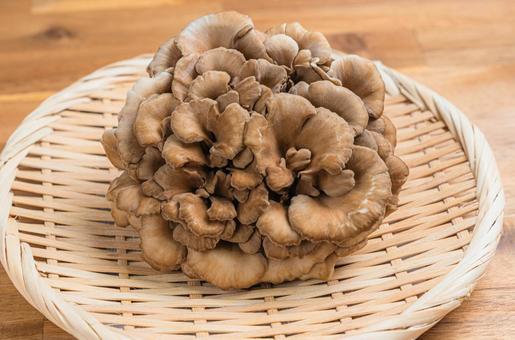 竹ざるに盛られた舞茸 竹ざるに盛られた舞茸 舞茸,きのこ,原木の写真素材