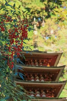 室生寺 室生寺,五重塔,女人高野の写真素材