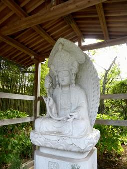 鎌倉市浄光明寺の楊貴妃観音坐像 仏像,楊貴妃観音,坐像の写真素材