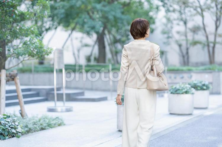 ビジネスウーマンの後ろ姿 女性,日本人,人物の写真素材