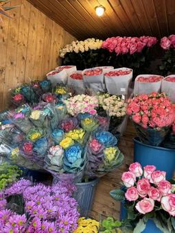 花屋 花屋の写真