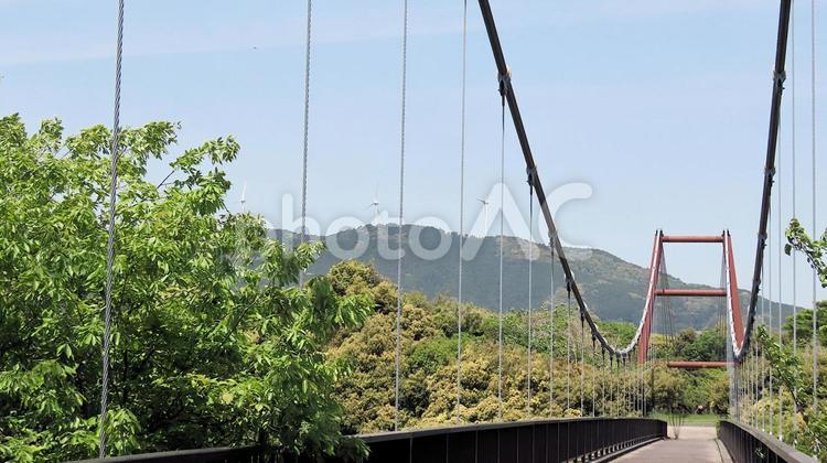 新緑の中のときめき橋 吊り橋,ときめき橋,新緑の写真素材