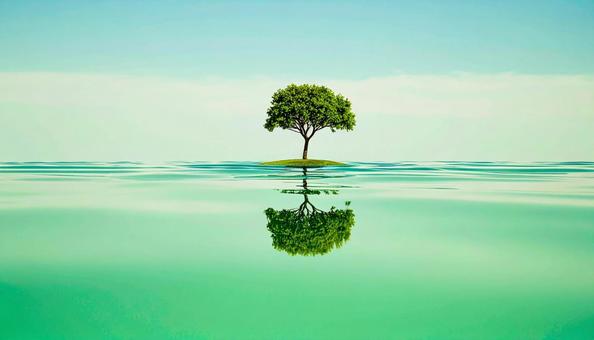 水面に移る一本の木 水面に移る一本の木の写真