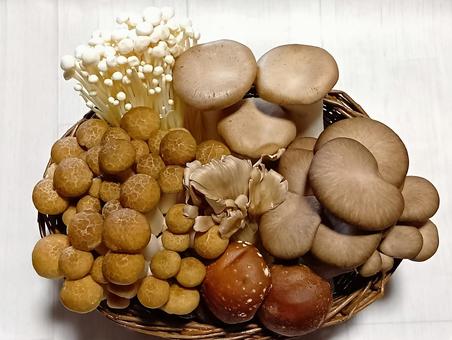 キノコ大集合 キノコ大集合 きのこ,茸,野菜の写真素材