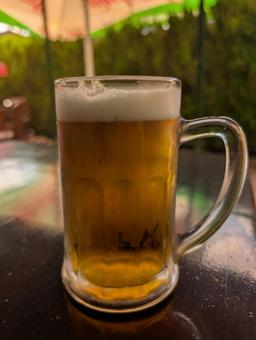 生ビール 生ビールの写真