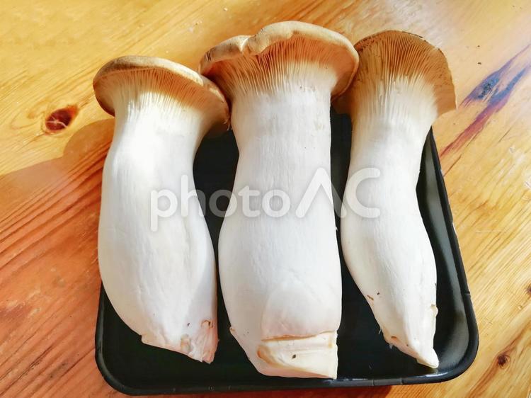 3本並んだエリンギ エリンギ,きのこ,茸の写真素材