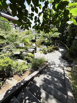 西新井大師 弘法大師,空海,厄災消除の写真素材