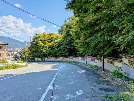 晴れた日の木陰の下り坂　左カーブ 坂道,カーブ,ドライブロードの写真素材