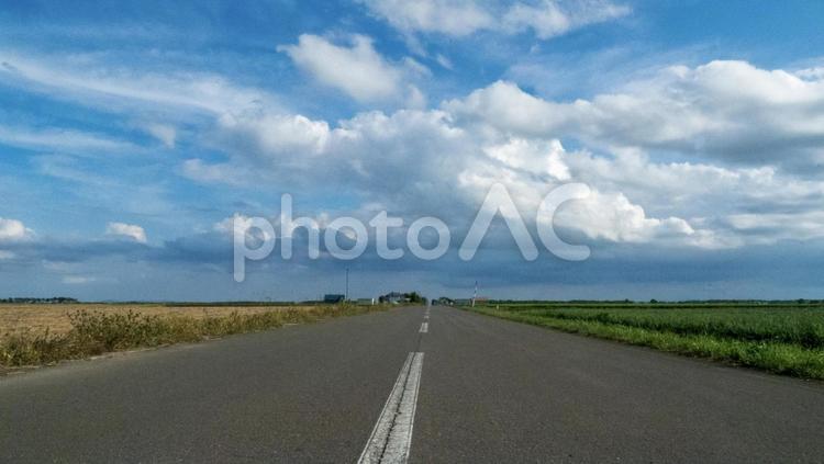 爽やかな空と田舎道 青空,爽やか,空の写真素材