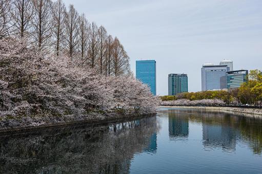 景色風景 景色風景の写真