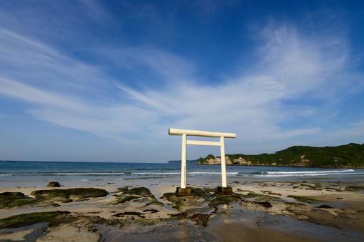 鵜原海岸 鵜原海岸の写真