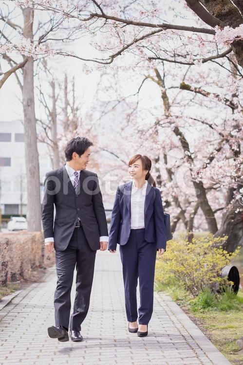 桜を見るスーツの男女 桜,春,入社の写真素材