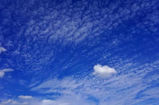 <秋のイメージ>青空とうろこ雲 <秋のイメージ>青空とうろこ雲の写真