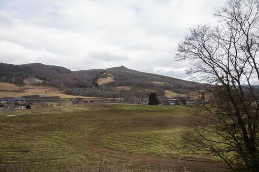 山に囲まれた農村の収穫後のタイヤ痕の畑 山に囲まれた農村の収穫後のタイヤ痕の畑 山,冬,風景の写真素材