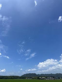 夏空 夏空の写真