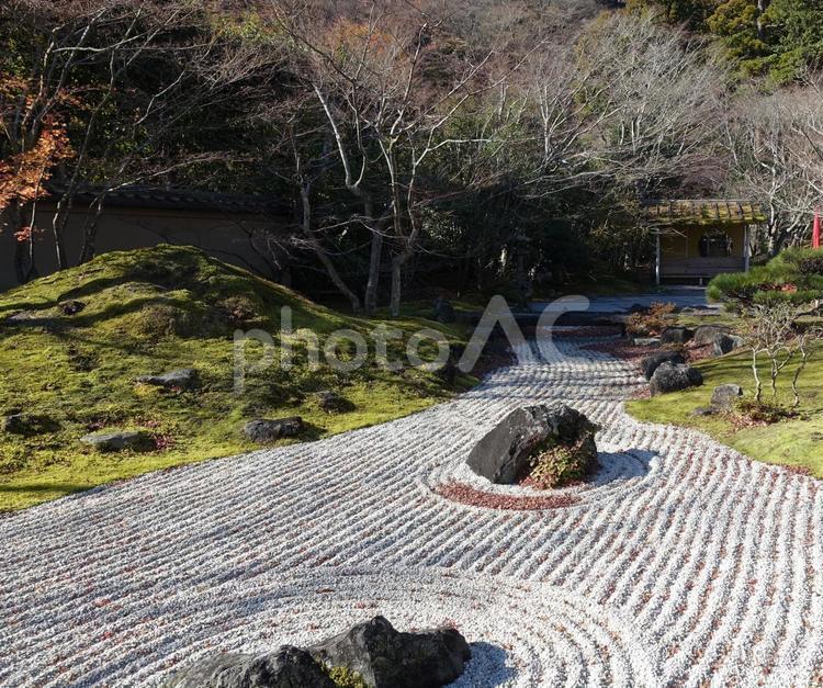 枯山水に春の訪れを告げる城満開の庭 庭園,庭,風景の写真素材