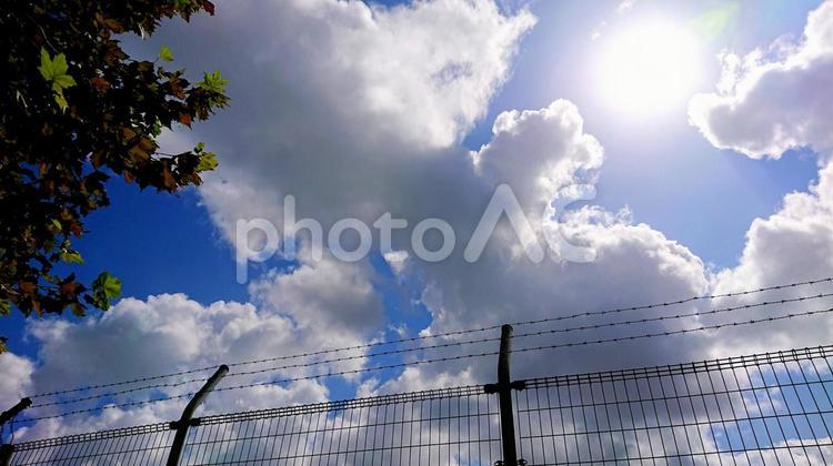 空　自然　風景　景色　雲 空,雲,skyの写真素材