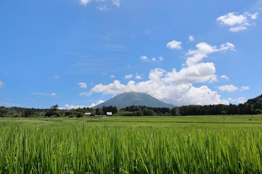 夏の大山と田園風景 2 夏の大山と田園風景 2の写真