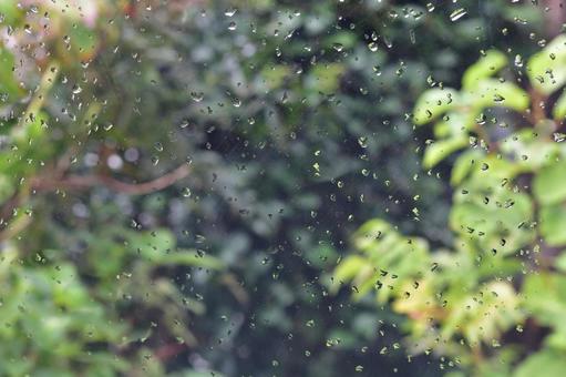 ガラスと雨 ガラスと雨の写真