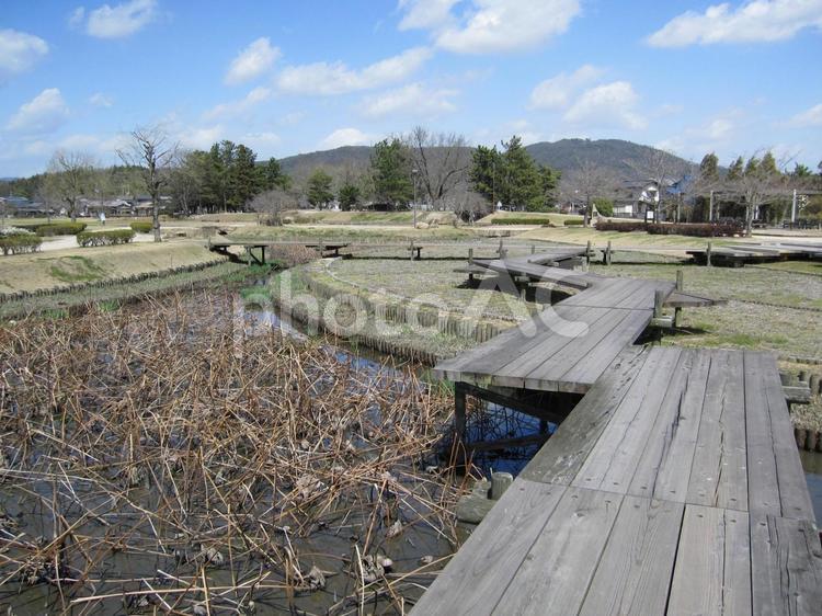 備中高松城　城跡の風景 備中高松城,豊臣秀吉,羽柴秀吉の写真素材
