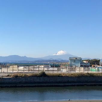 鵠沼海岸から見た富士山 鵠沼海岸から見た富士山の写真