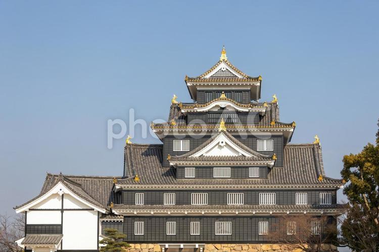 右寄りに配置した岡山城天守閣 岡山城,烏城,屋根の写真素材