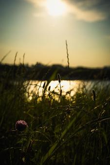 夕暮れ 夕暮れの写真
