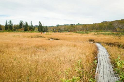 紅葉ハイキング 湿原,ニセコ,北海道の写真素材