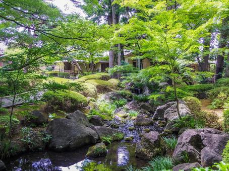 【東京都】荻窪・大田黒公園 【東京都】荻窪・大田黒公園の写真
