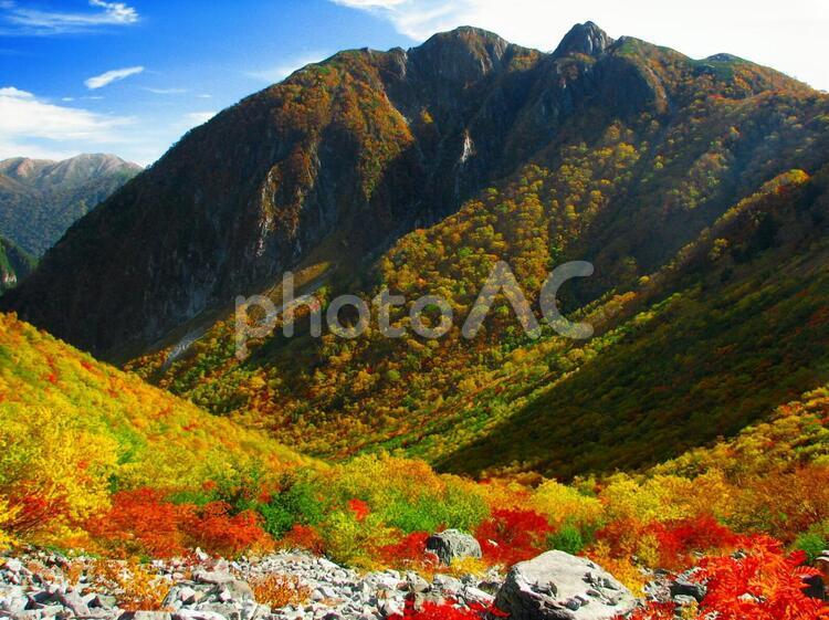 彩られた秋の山【北アルプス・屏風ノ頭】[紅葉] 涸沢,秋,氷河の写真素材