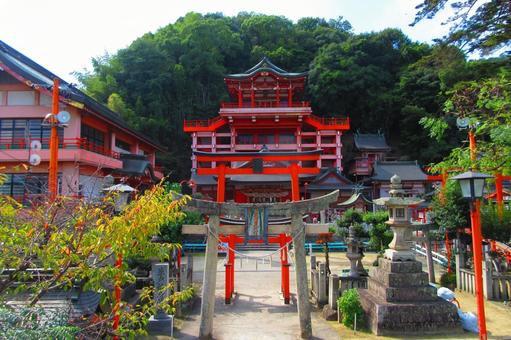 広島県-草戸稲荷神社-本殿と鳥居 広島県-草戸稲荷神社-本殿と鳥居 草戸稲荷神社,神社,本殿の写真素材