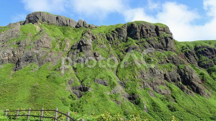礼文島の風景 礼文島,絶壁,断崖の写真素材