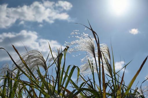 秋の風景 自然,秋の風景,屋外の写真素材