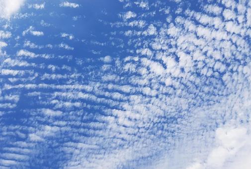 うろこ雲 うろこ雲の写真