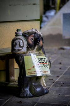 狸谷山不動院 狸,寺院,京都の写真素材