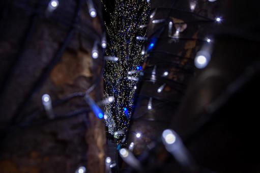 クリスマスのイルミネーション クリスマス,イルミネーション,ライトアップの写真素材