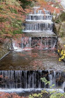 湯河原の紅葉 湯河原の紅葉 紅葉,秋,湯河原の写真素材