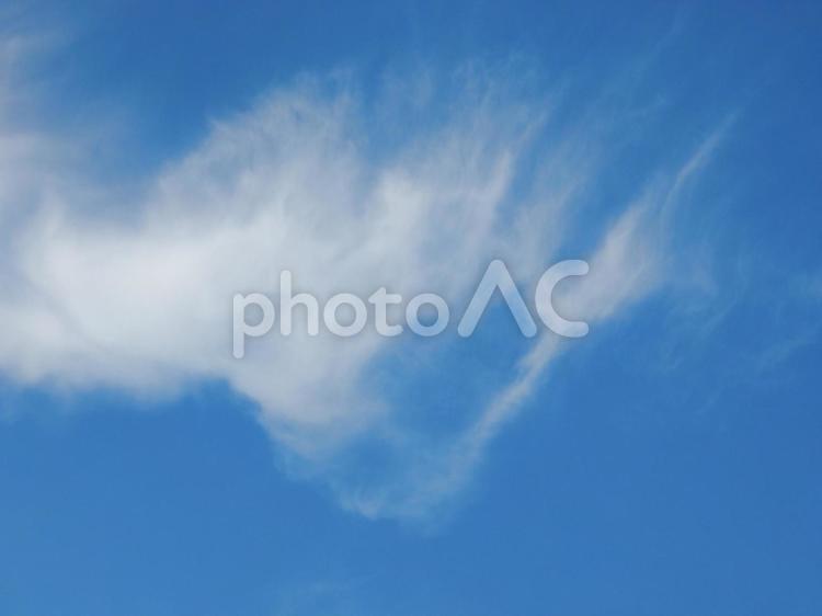 【風景写真】夏空 夏空,空,雲の写真素材