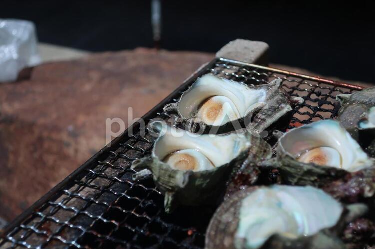 さざえの姿焼き さざえ,網焼き,姿焼きの写真素材