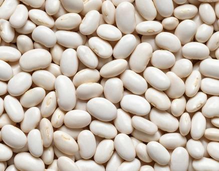 白いんげん豆の集合 白いんげん豆の集合の写真