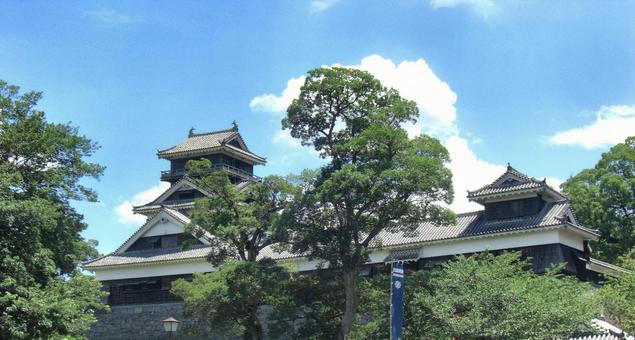 熊本城の風景-8 熊本城の風景-8の写真